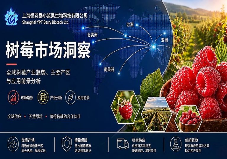 树莓市场信息